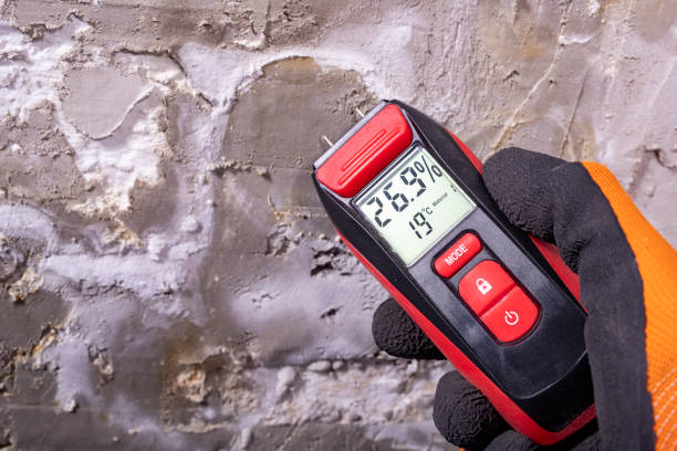 Attic Mold Removal in Hartley, CA