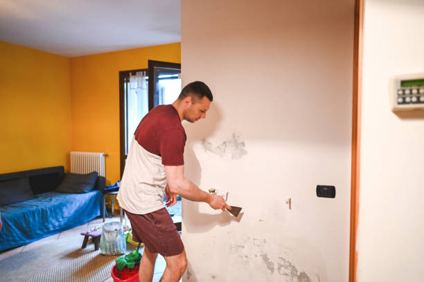 Best Mold Removal Company Near Me  in Hartley, CA