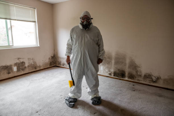 Best Mold Testing  in Hartley, CA